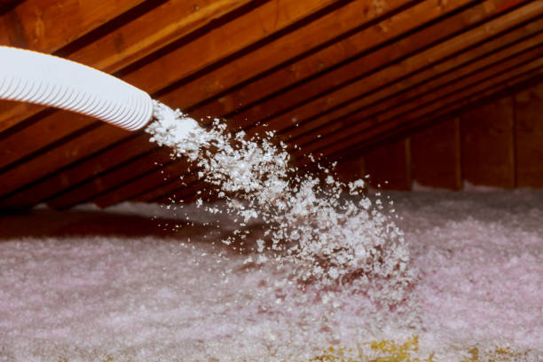 Best Residential Insulation in Johnson, AR
