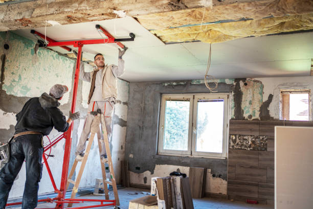 Best Insulation Installation Services in Johnson, AR