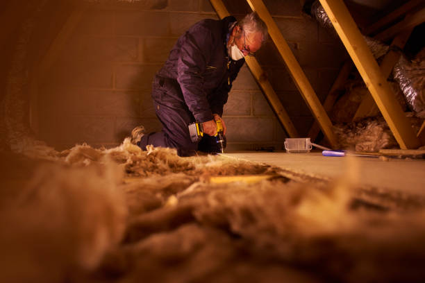 Best Commercial Insulation in Johnson, AR